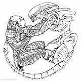 Alien Vs Predator Predalien Coloring Pages sketch template
