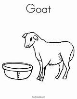 Boer Goat Coloring Pages At GetColoringscom  Free Printable Colorings sketch template
