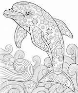 Dolphin Coloring Picture At Sasfatblog Blog sketch template