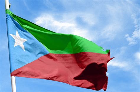 Balochistan's national flag | Balochistan, Cute flower wallpapers ...