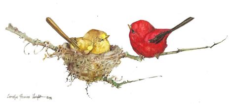 Scarlet Tanager Nest Painting by Carolyn Shores Wright - Fine Art America