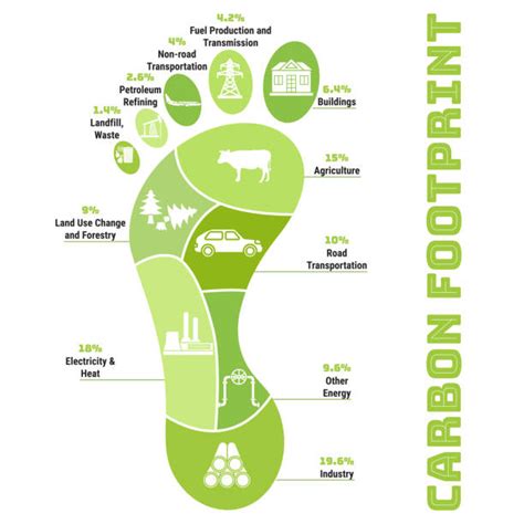 Carbon Footprint Infographic Illustrations, Royalty-Free Vector Graphics & Clip Art - iStock