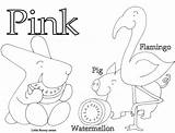 Color Pink Coloring Pages sketch template