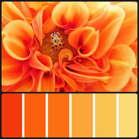 21 Shades of Orange Color Palette | OFFEO