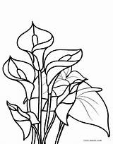 Free Printable Flower Coloring Pages For Kids  Cool2bKids sketch template