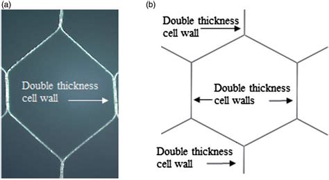 Honeycomb cell modeling: (a) commercial honeycomb cell and (b) shell ...