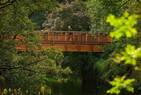 River Lagan footbridge open again following extensive repairs – The ...