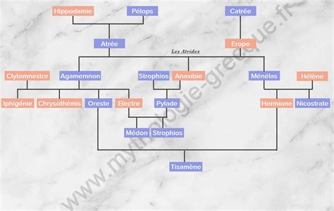 Les Atrides | Arbre généalogique Mythologie grecque