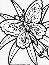 Flower Coloring Pages  Free Download On ClipArtMag sketch template