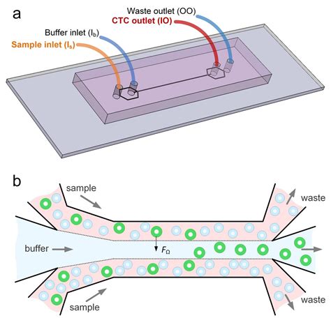 New microfluidics device can detect cancer ce | EurekAlert!