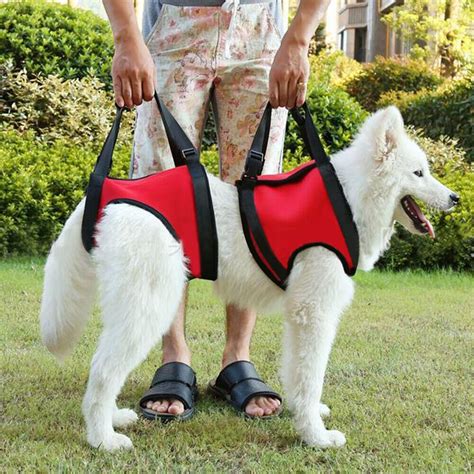 Full Body Dog Lift Support Harness Injury Back Hip Assist Pet Carrier ...