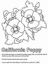 Poppy Coloring Pages  Home sketch template