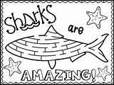Shark Coloring Pages Week By Purple Palmetto  TpT sketch template