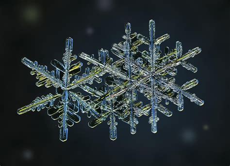 Amazing macro views of snowflakes School Photography, Macro Photography, Digital Photography ...
