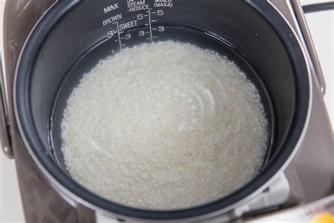 How Much Water For 1 Cup Rice In Rice Cooker | Storables