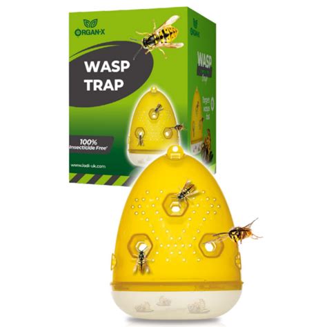 Wasp Trap