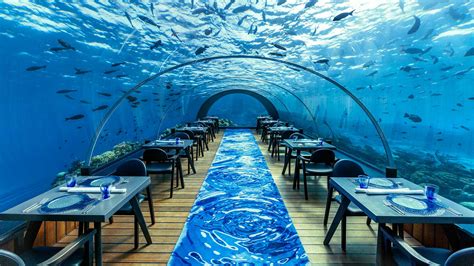 5.8 Undersea Restaurant – Maldives underwater restaurant