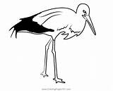 Stork Bird Coloring Page For Kids  Free Storks Printable sketch template