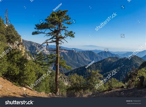 Angeles national forest Images, Stock Photos & Vectors | Shutterstock