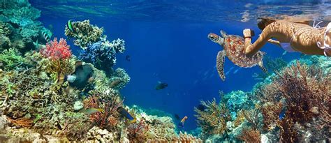 Where to go Snorkeling in Riviera Maya | Best Snorkeling places ...