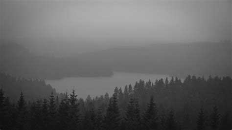 black and white #forest #lake #mist #4K #wallpaper #hdwallpaper #desktop | Black and white ...