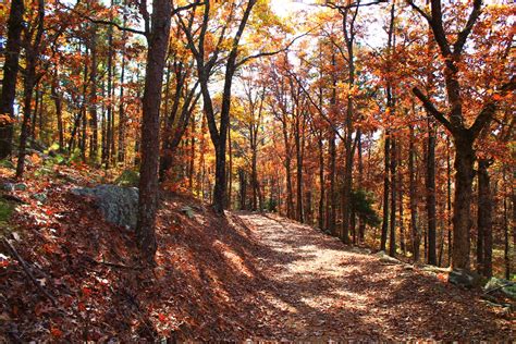 Mount Nebo State Park Trails - Arklahoma Hiker