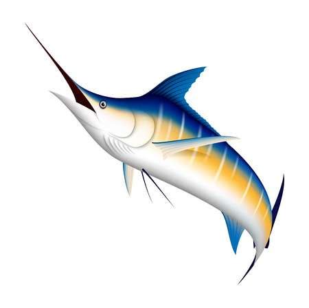 clipart swordfish 20 free Cliparts | Download images on Clipground 2024