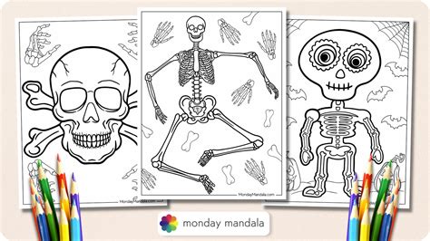 20 Skeleton Coloring Pages (Free PDF Printables)