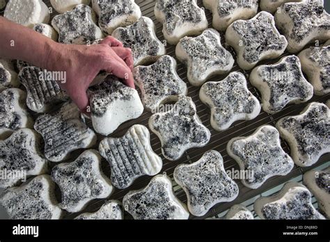 MATURING OF THE TREFLE, PRODUCTION OF GOAT'S CHEESES BY SYLVIE LHOSTE, TRADITIONAL CHEESE DAIRY ...