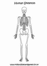 Body Parts Colouring Page  Kids Puzzles And Games sketch template