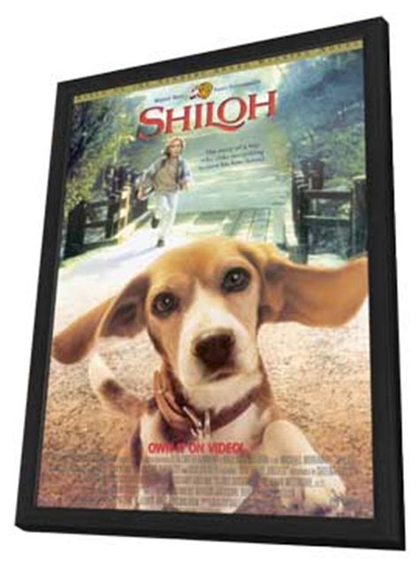 Shiloh Movie Posters From Movie Poster Shop