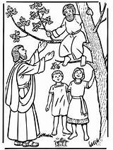 Zacchaeus coloring Page  Bible Pages / New Testament sketch template