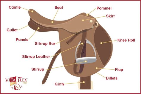 Vita Flex Pro | A Guide to English Saddle Parts & Fit