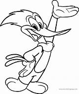 Woody Woodpecker Coloring Pages  Wecoloringpagecom sketch template