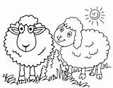 Cute Sheeps coloring Page  Download Print Or Color Online For Free sketch template