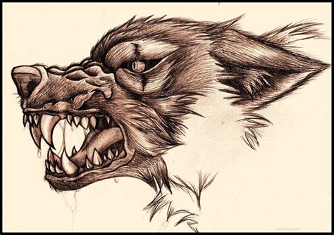 Snarling Wolf | Wolf tattoos, Snarling wolf, Wolf tattoo design