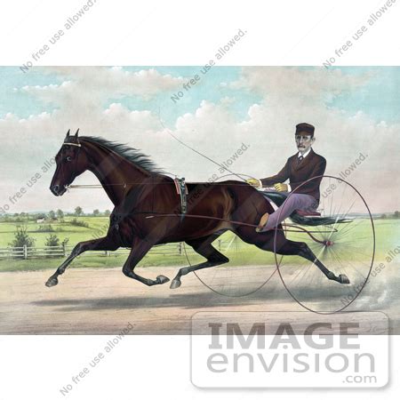 Stock Illustration of a Horse, Champion Pacer Johnston, By Bashaw Golddust, Raced By Peter V ...