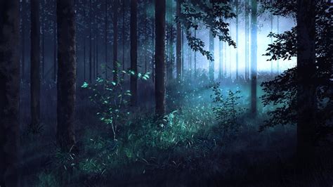 Gacha Backgrounds Forest, Gacha Backgrounds Outside, Forest Wallpaper, Nature Wallpaper, Cool ...