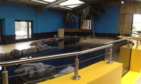 Sealife Centre Penguins, Weymouth | Westminster Projects