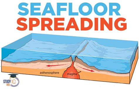 Seafloor Spreading Evidence Examples And Explanations | Viewfloor.co