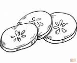 Gurke Komkommer Cucumber Coloring Concombre Pepino Malvorlage  sketch template