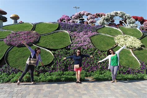 these and beyond: Dubai Miracle Garden and Butterfly Garden