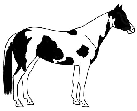 Paint Horse Clip Art - Cliparts.co