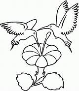 Free Printable Hummingbird Coloring Pages For Kids sketch template