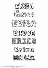 Erica Coloring Sheets Pages sketch template