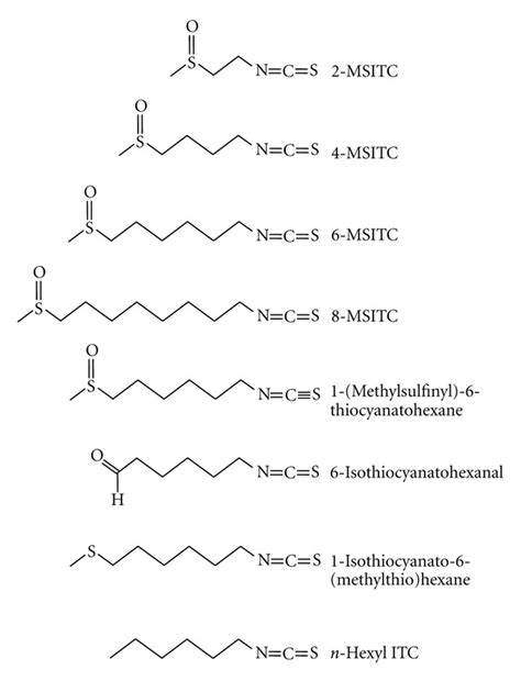 Chemical structures of analogues of 6-MSITC. 4-MSITC (sulforaphane),... | Download Scientific ...