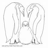 Emperor Penguin Coloring Sheet Pages sketch template