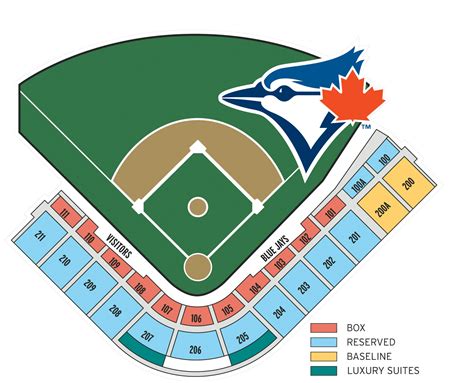 Dunedin Blue Jays Stadium Seating Chart | Printable Templates Free