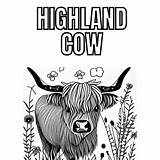 Highland Cow Coloring Pages PDF Printable  Etsy sketch template