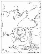 Free GOPHER Coloring Pages For Download Printable PDF sketch template